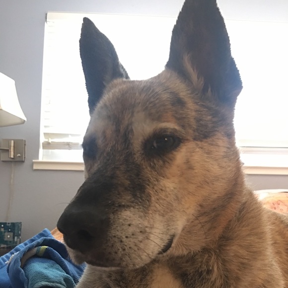 Hello! I’m Carrie ☺️ Reasonable offers accepted! - Picture 2 of 4